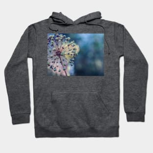 Botanica Hoodie